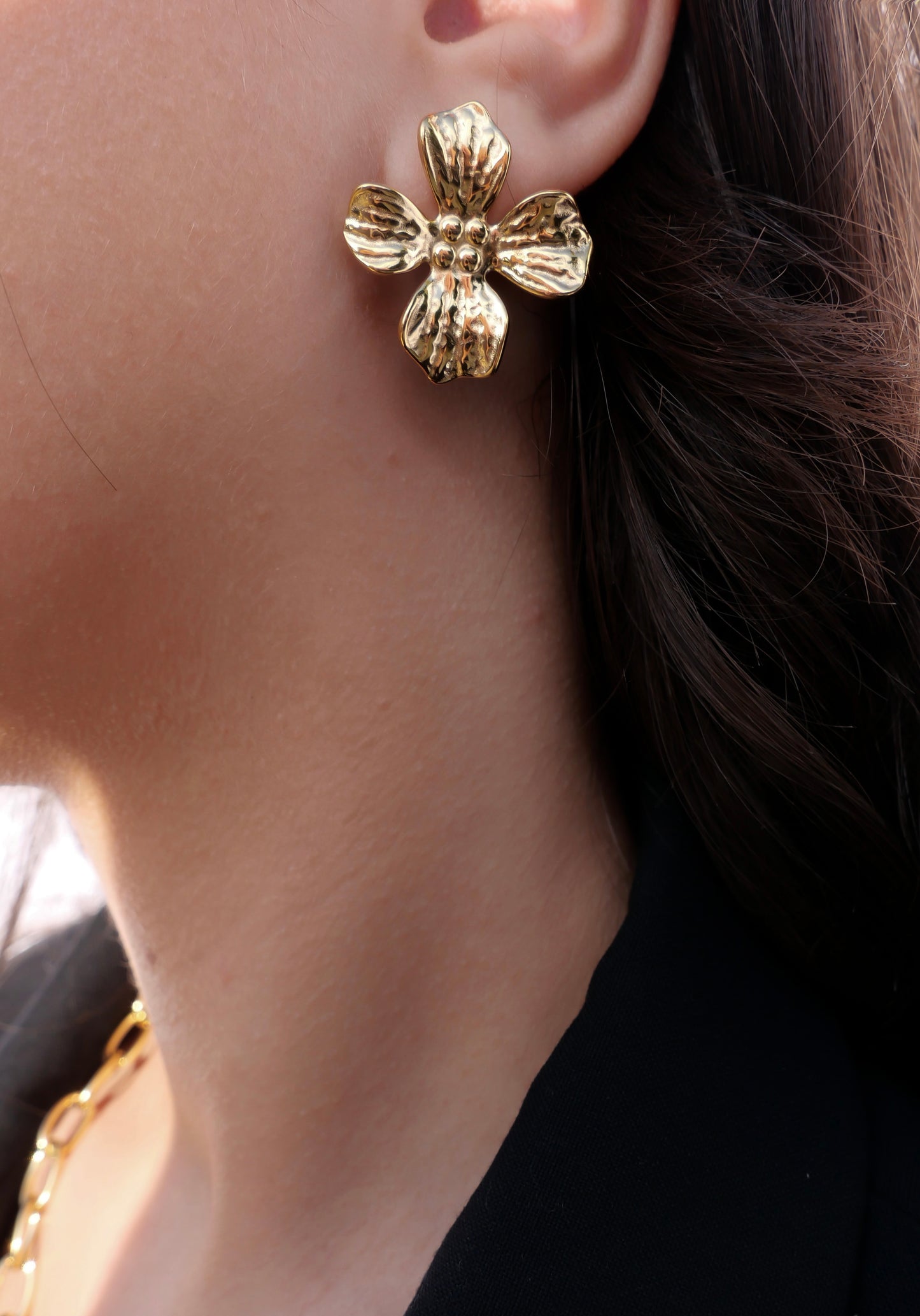 Boucles ADÈLE