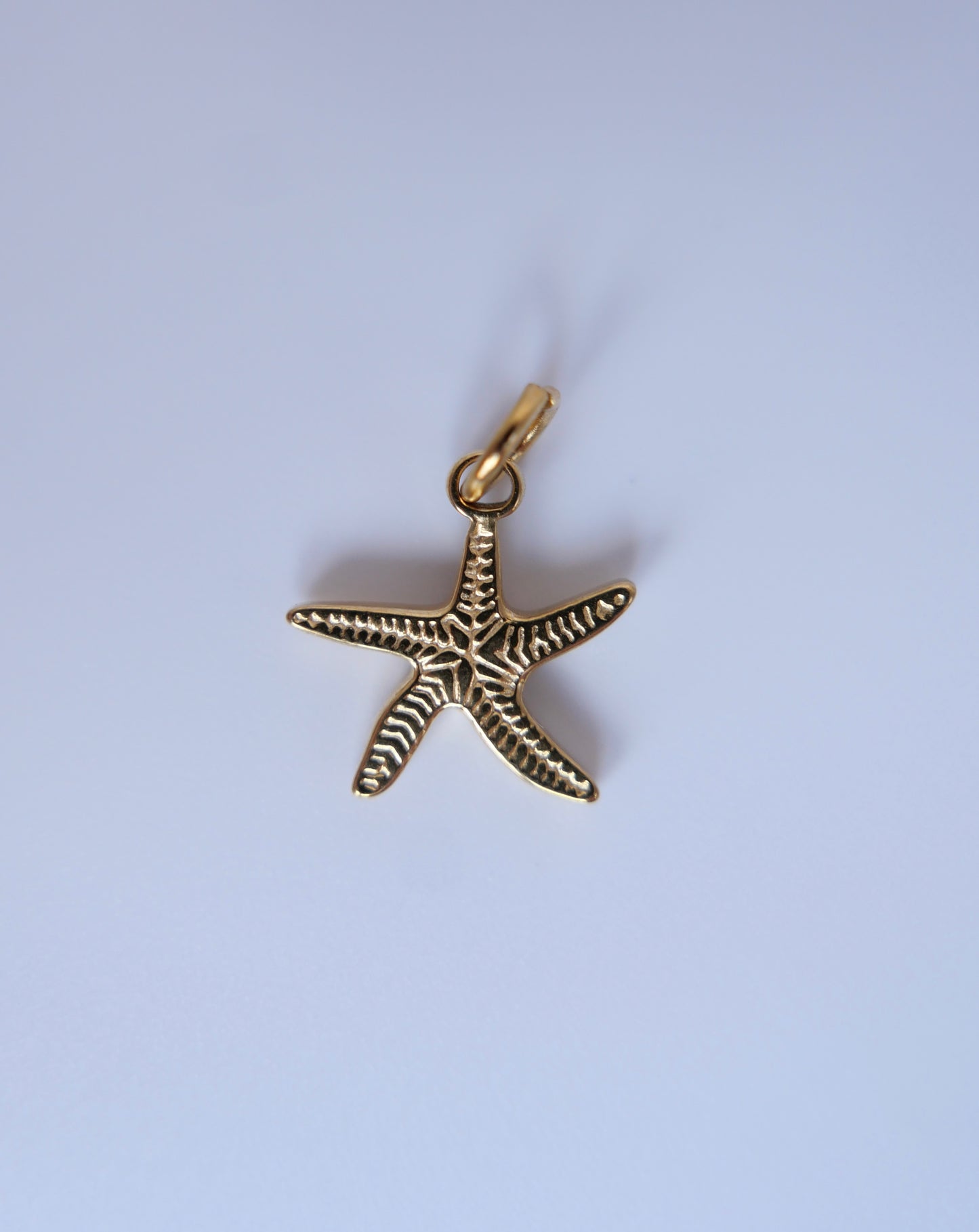 Starfish charm 14