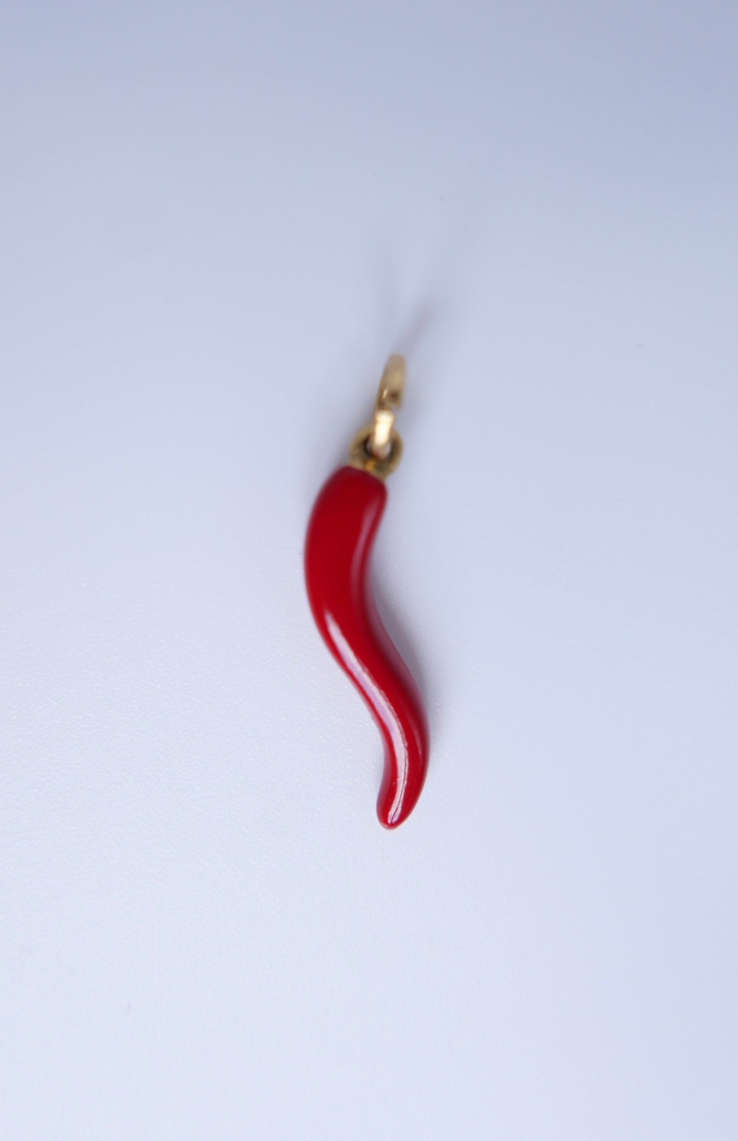 Large chili 23