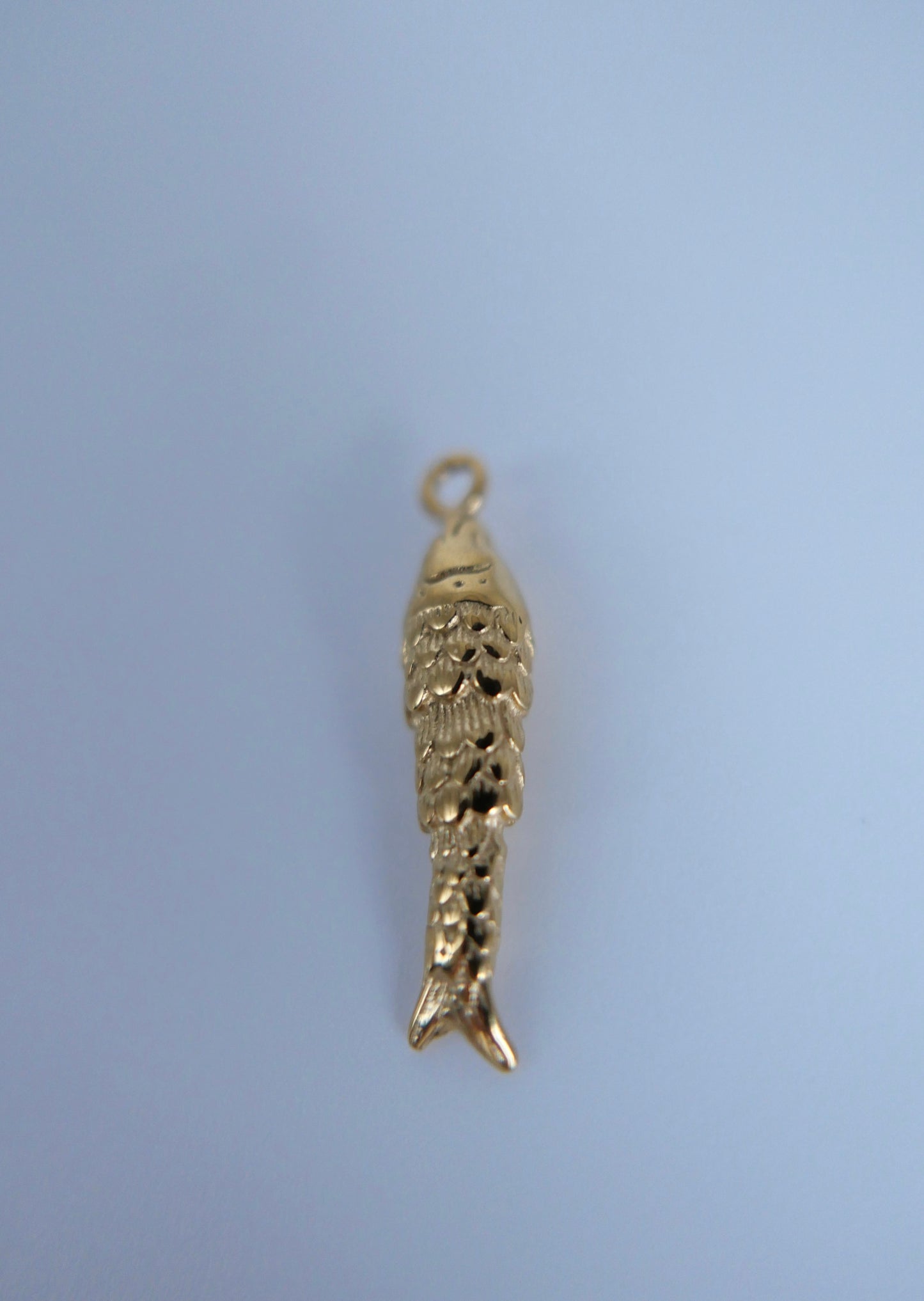 Fish charm