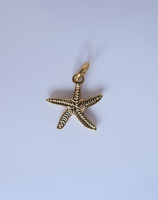 Starfish charm 14