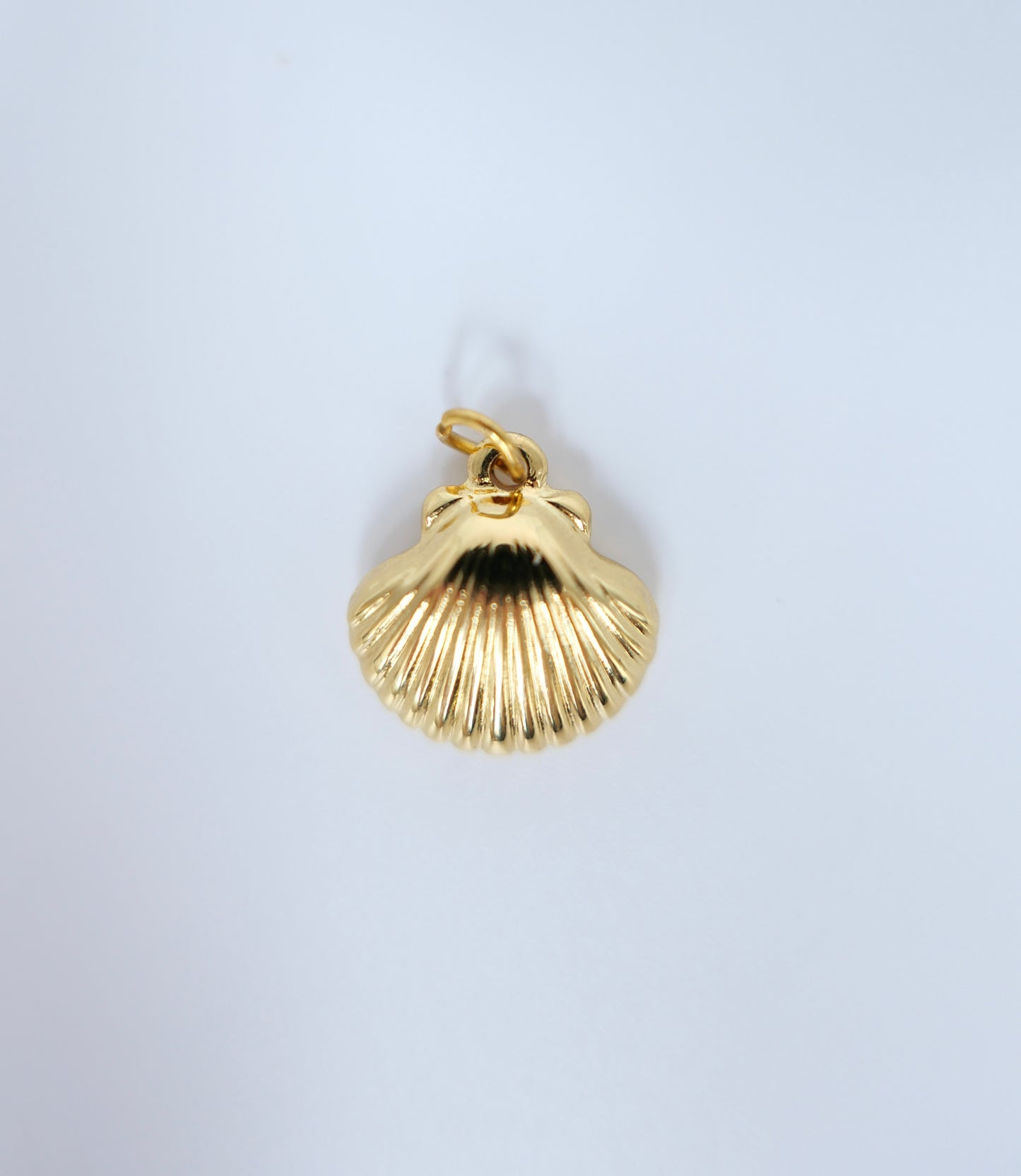 Shell charm 13