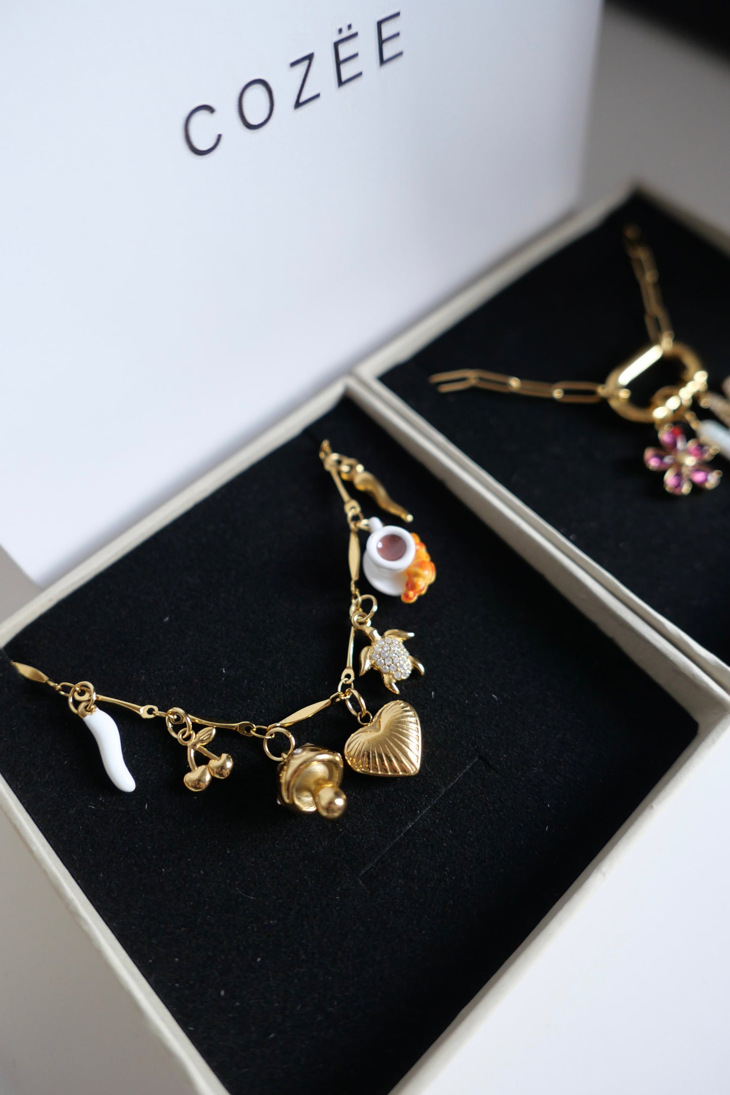 Chili charm blanc 64