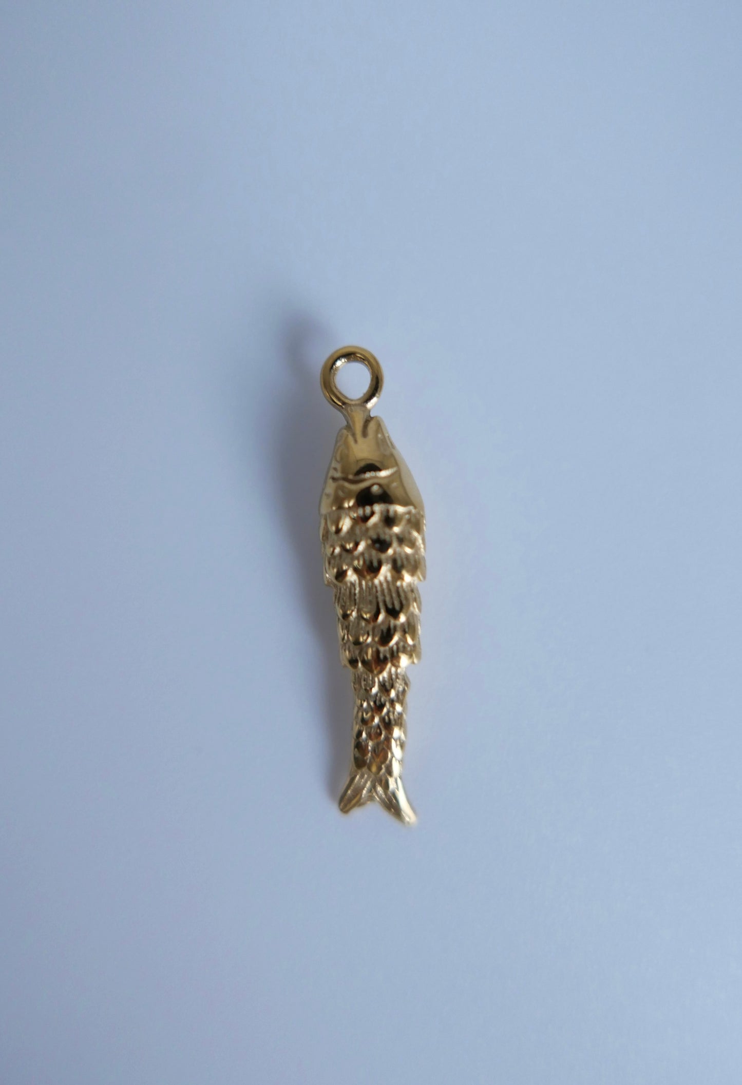 Fish charm